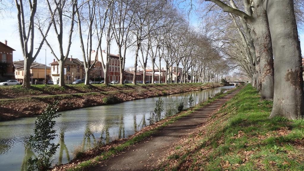 Le Brienne Toulouse Centre Apartment Екстериор снимка